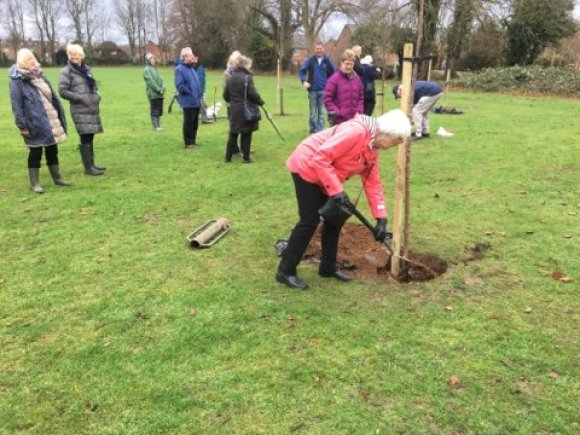 Tree planting 29th November 