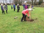 Image: Tree planting 29th November 