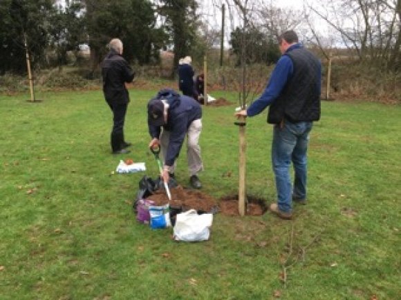 Tree planting under the guidance of Frank Toone (Goscote Nursery)