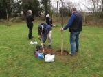 Image: Tree planting under the guidance of Frank Toone (Goscote Nursery)