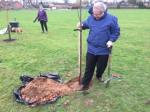 Image: Tree planting 29th November 2018