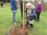 Image: Tree planting 29th November 