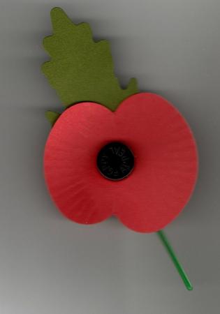 WE WILL REMEMBER THEM