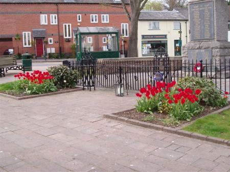 Red Tulips are planted every year to complement the poppy wreath