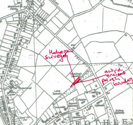 Stint 15 follows in the same way as Stint 14 with the ancient parish boundary ditch within Hickling's Spinney. At the end of this stint the boundary hedgerow on the spinney side has been destroyed in places.