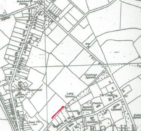 We have now gone beyond Long Spinney and the ancient boundary now runs along the gardens of The Ridgeway. There is still evidence of a ditch but this is now shallow. Dogs Mercury, an ancient woodland plant, was found and there are some ancient trees in the gardens to show that it was ancient woodland.