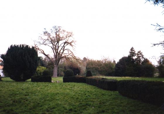 Looking across the rear gardens in April 2002 towards Rothley Brook. This is the other side of the 1774 building shown above. The stone lion, with another, is shown between the gap in the yew hedge although now uncared for.