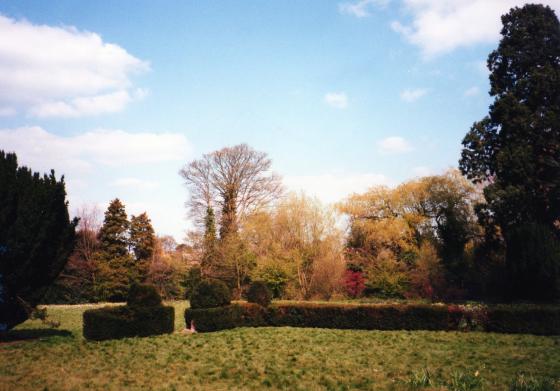 Still looking towards Rothley Brook over the rear gardens. Ancient Wellingtonia Tree to the right. April 2002