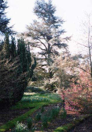 The outline of these beds with the grass 'rays' can still be seen in April 2012 with this photo being taken in April 2002. There is a lovely half-moon pond just out of sight to the right.