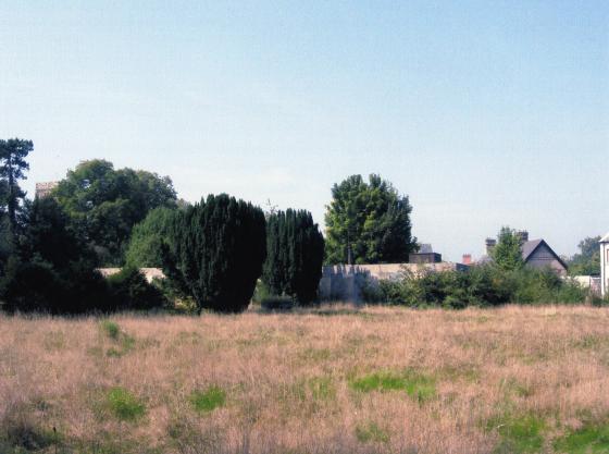 The rear garden in September 2005