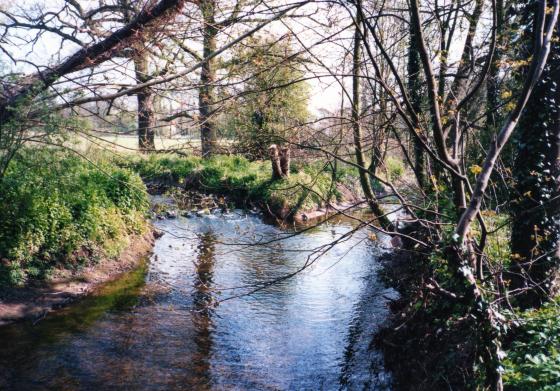 Rothley Brook to the right and the channel on the left made into a water feature and a trout stream to the Grange gardens. Roy Stokes remembers the trout from his boyhood. The canal cutting was originally formed as a requirement of the Enclosure Act of 1782. Photo taken April 2002