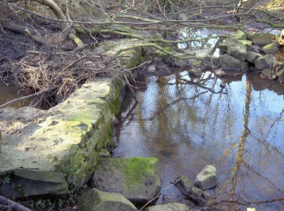 The water feature in February 2007