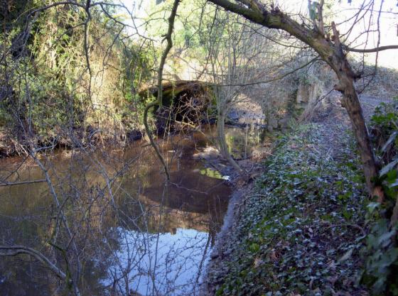 Looking to the old bridge, known as Polly Parrot Bridge, over the channel. Water feature beyond. February 2007