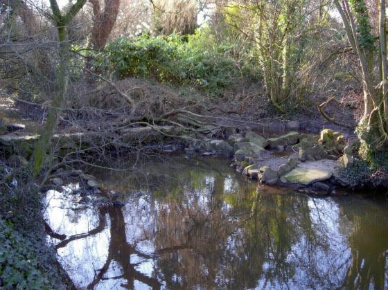 The channel created from Rothley Brook and part of the water feature close to the stone bridge. Photo taken February 2007