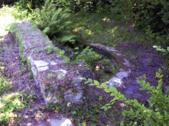 The half-moon ornamental pond. July 2008. Surrounding paving covered by ivy, brambles and saplings.