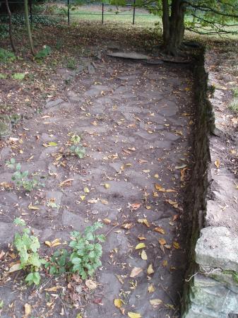 A paved area to the side of the hal moon pond was also cleared of vegetation and saplings. Work in progress September 2011