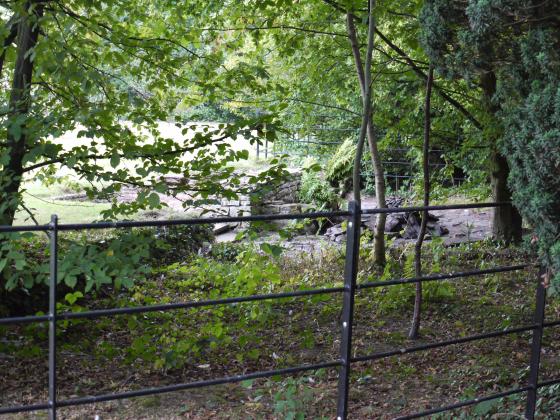 The half moon lily pond is in a semi-secluded area beyond the lawns. September 2011.
The Wishing Well Pond is to the right beyond the railings.