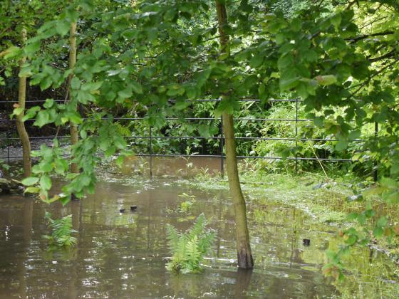 The Wishing Well Pond was well submerged. July 2012