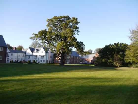 View over the lawns to The Grange on the left, Saxon Court and Temple Court to the right. March 2012