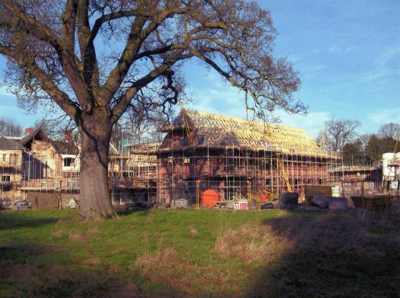 Tree 32 surrounded by building activity. The original Grange to the left with Saxon Court centre. Temple Court to the rear back. February 2008