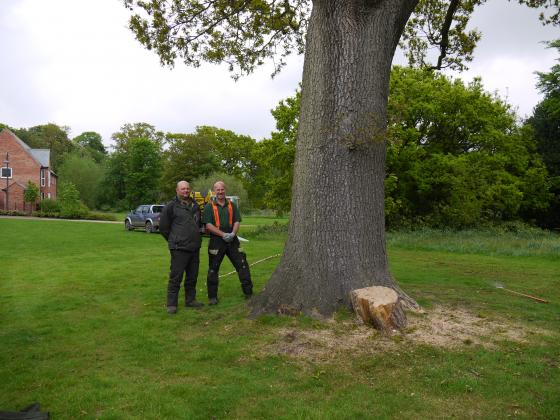 Thank you for an excellent job in saving our ancient Oak Tree 32. May 2013