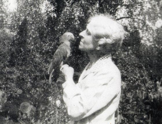 Yes, Scarlet Macaws used to fly around the gardens at The Grange! Owned by Mrs Angeline Robinson who created the gardens.