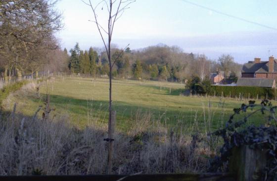 HOME FIELD FROM STATION CORNER WITH THE RIDGEWAY TO THE LEFT AND WESTFIELD LANE TO THE RIGHT. CONIFER HEDGE AND TREES PLANTED. DECEMBER 2009