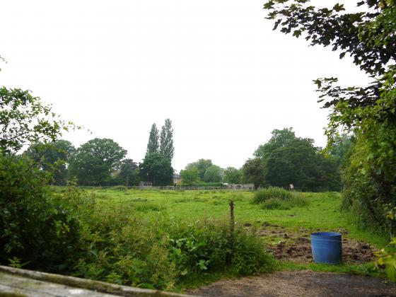 Looking from The Ridgeway to the gardens of the houses on Swithland Lane. Site 103 The Slang over the hedgerow to the right. June 2013