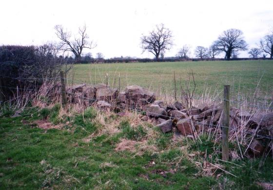 There is a granite wall along the right hand side of The Slang on the boundary with Site 105 Six Acre Field. March 2002