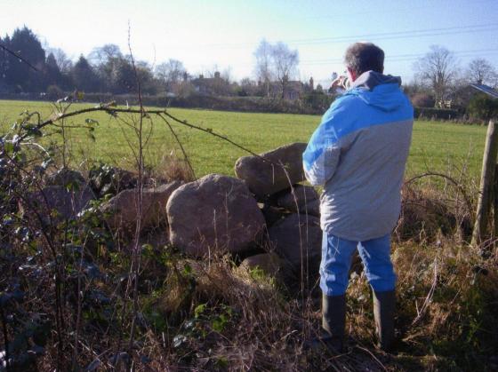 Granite wall between Sand Pit Field and the boundary with Bowlers Field Site 106. February 2007