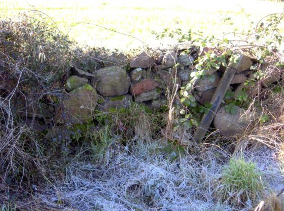 More granite wall between Sand Pit Field and Bowlers Field Site 106. February 2007