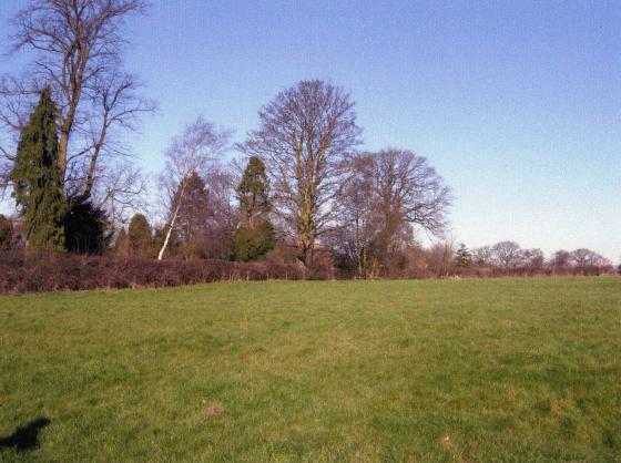 Site 107 Barnes' Field with Swithland Lane gardens to the left. February 2007