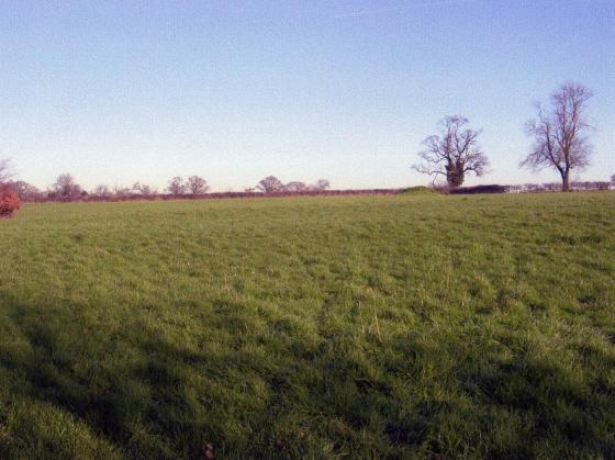 Site 107 Barnes' Field. February 2007