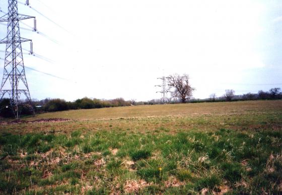 The Railway Field with a rough area at the back there is a small pit and a pile of stones. April 2002