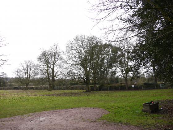 Looking from Westfield Lane to the boundary with Kingfisher's Pool and Vineyard. February 2015