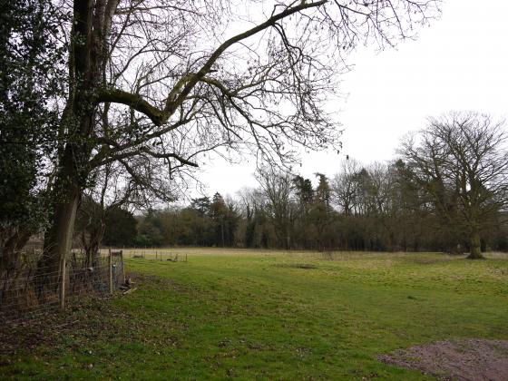 Looking from Westfield Lane to Rothley Court Hotel (Rothley Temple). February 2015