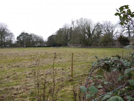 Looking from the grounds of the Rothley Court Hotel. The granite wall of the Rothley Temple Walled Garden to the right. February 2015