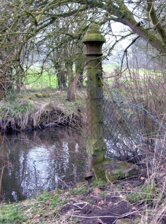 Old parkland post in the grounds by the Rothley Brook. March 2005