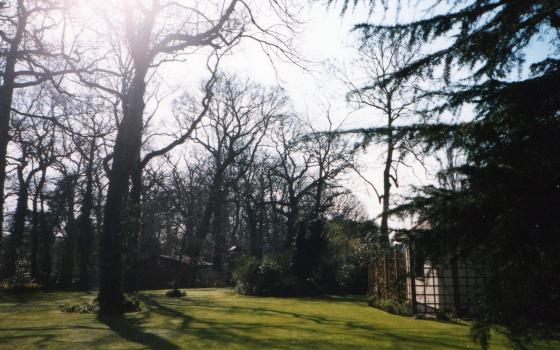 Looking into the spinney from The Ridgeway. March 2002