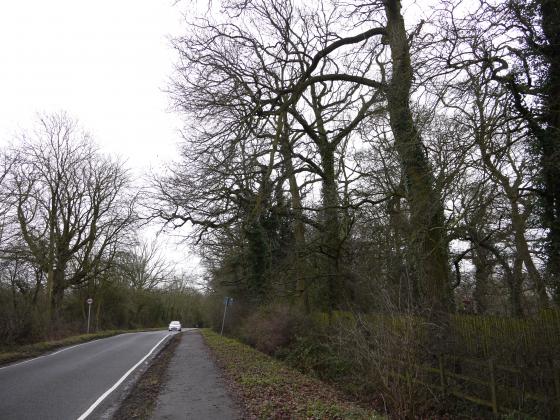 The Ridings with Riding Spinney to the right and Site 180 Stocking Close to the left. February 2015