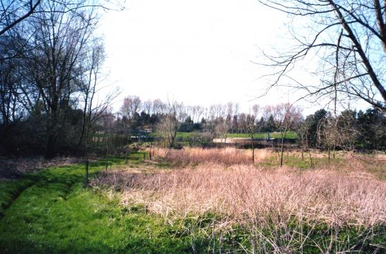 On the boundary of Site 118 with the Sewerage Farm and filter beds between Farnham Bridge Farm and the River Soar. April 2002