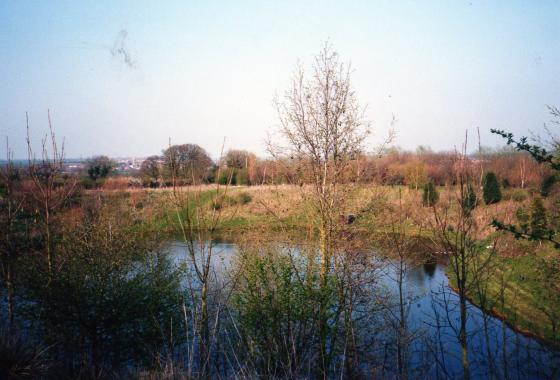 Rowena Fishing Lakes Pond 5 March 2002