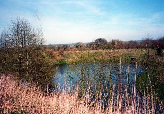 Rowena Fishing Lakes Pond 5. March 2002