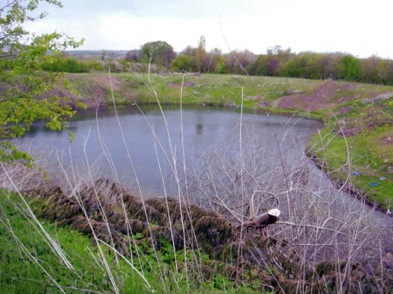 Rowena Fishing Lakes Pond 5 May 2008