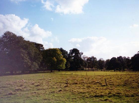 Rothley Park Cricket Pitch. Westfield Lane to the right and the cricket pavillion out of sight on the right. October 2001