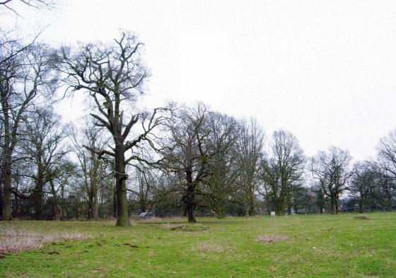 Looking over the park to Westfield Lane with its junction with Wellsic Lane. February 2005