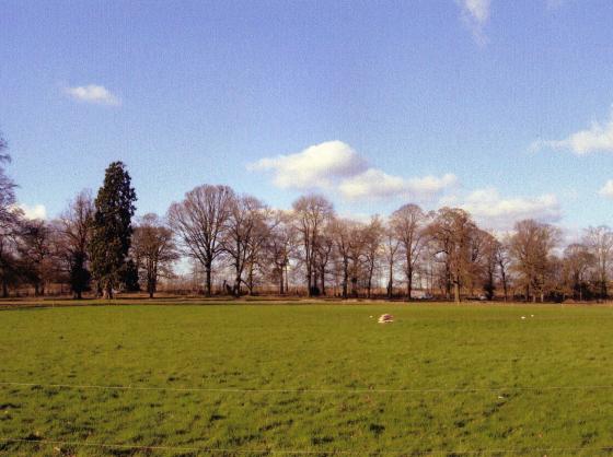 Looking over the park and cricket pitch to Westfield Lane. March 2005