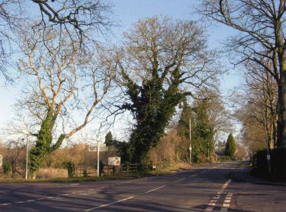 Walnut trees of Brickyard Farm to the left, on the corner of Swithland Lane and The Ridings. March 2007