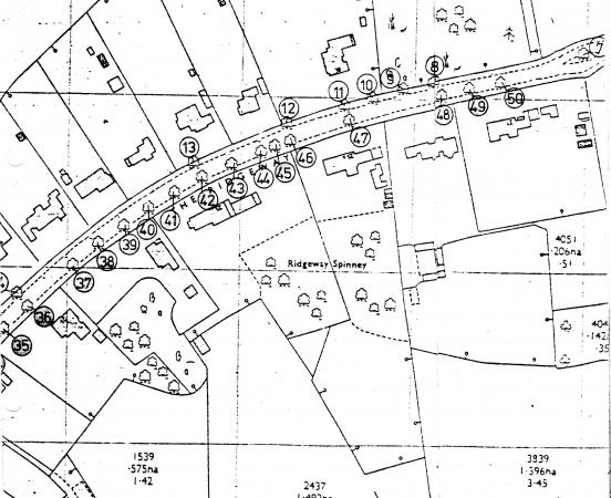 Site 125 The Ridgeway. More TPO numbers