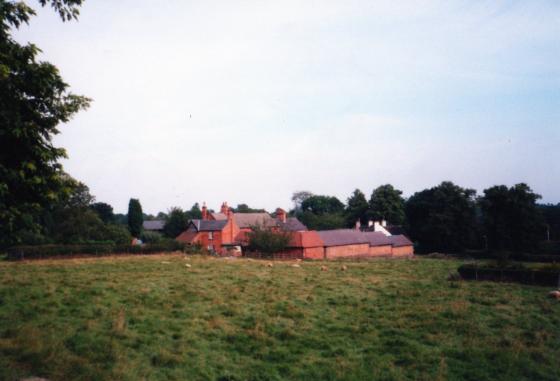 Westfield Farm from The Ridgeway overlooking Home Field Site 101. Sheep grazing in the field. August 2002